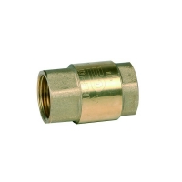 REGE Check valve with stainless spring, brass disc 