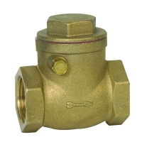 Rubber swing check valve